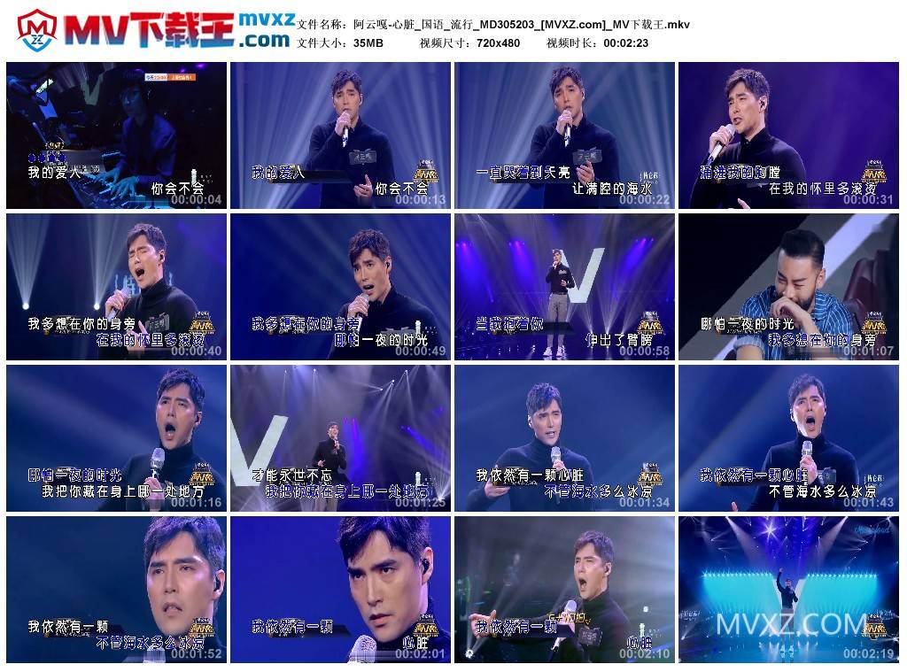 阿云嘎-心脏_国语_流行_MD305203